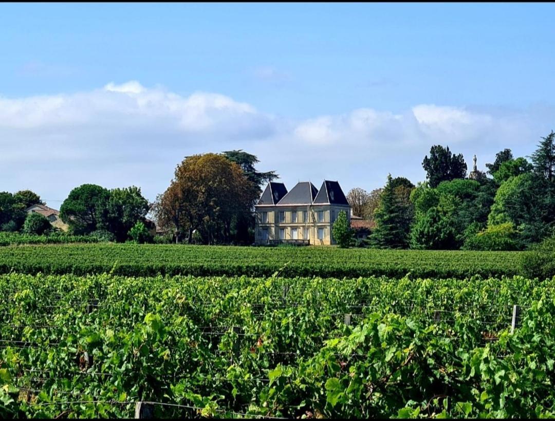 Chateau Tanesse De Tourny Bayon Luaran gambar