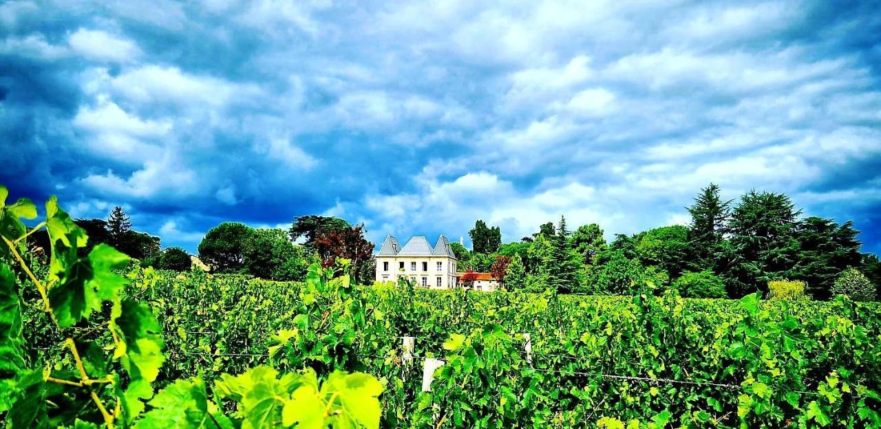 Chateau Tanesse De Tourny Bayon Luaran gambar